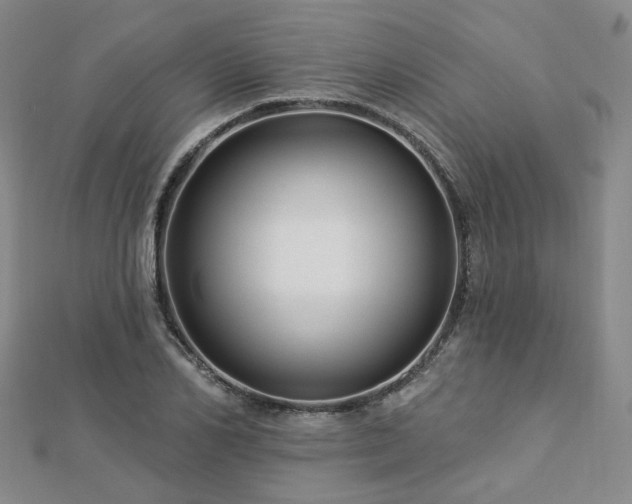 X0000112890982200908211450