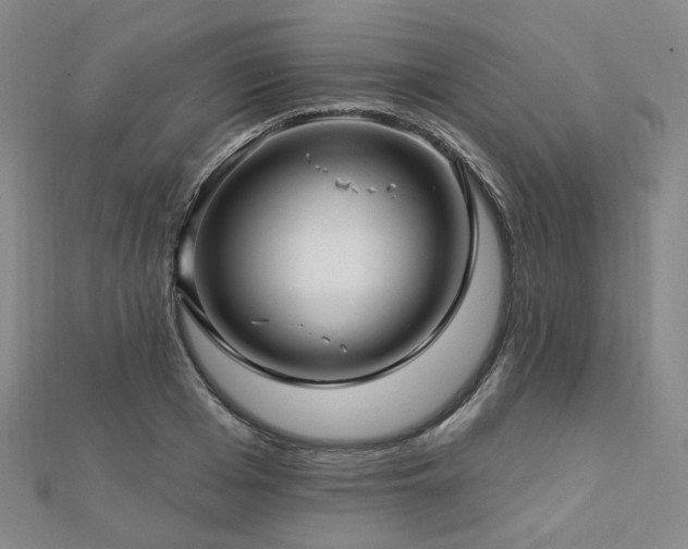X0000112890985200908211450
