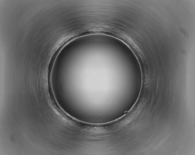X0000112890986200908211450