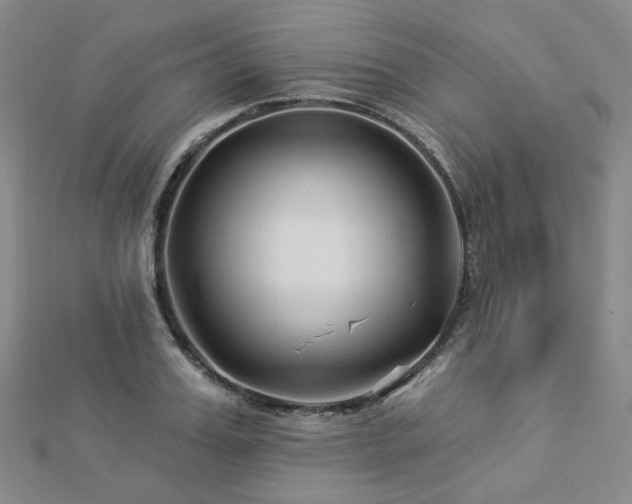 X0000112890987200908211450