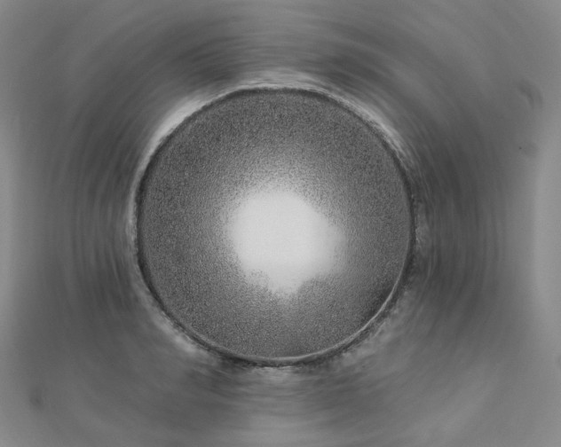 X0000112890990200908211450