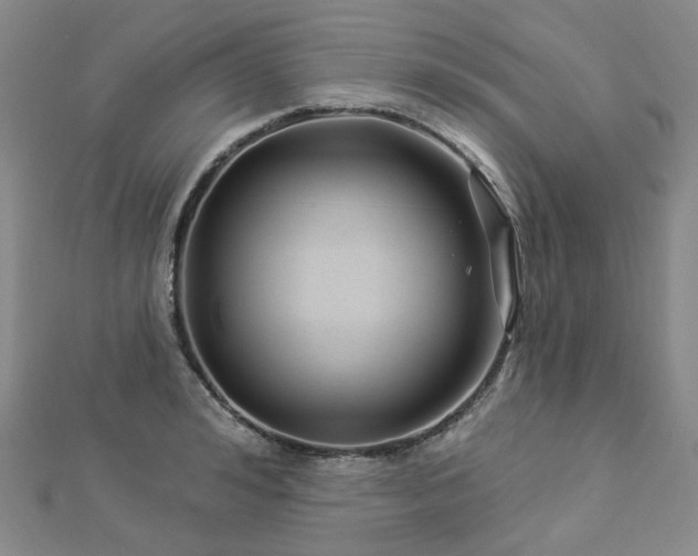 X0000112890992200908211450