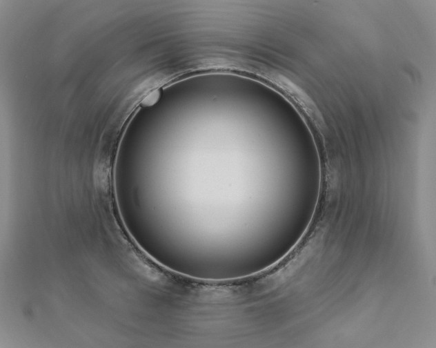 X0000112890993200908211450