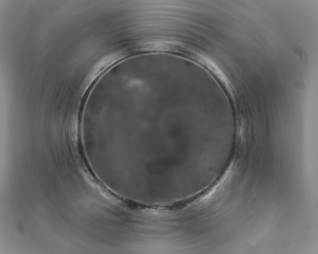 X0000112890994200908211450