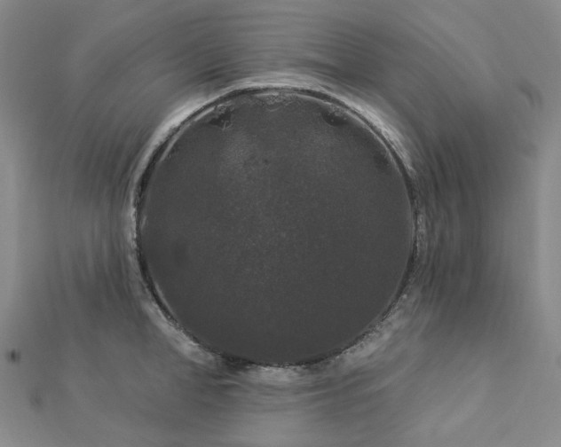 X0000112890998200908211450