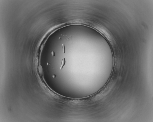 X0000112891000200908211450