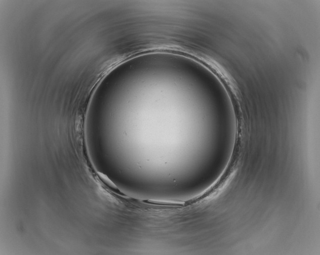 X0000112891001200908211450