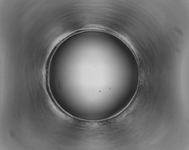 X0000112891003200908211450