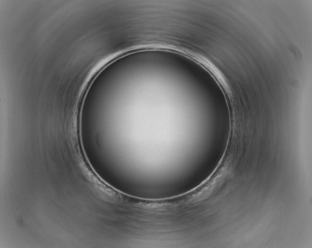 X0000112891004200908211450