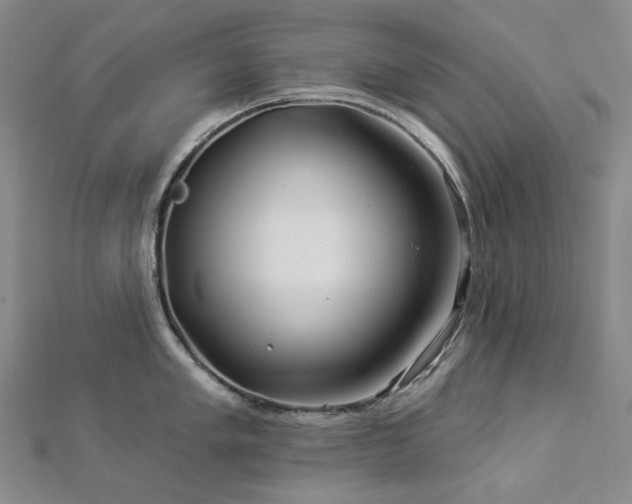 X0000112891005200908211449
