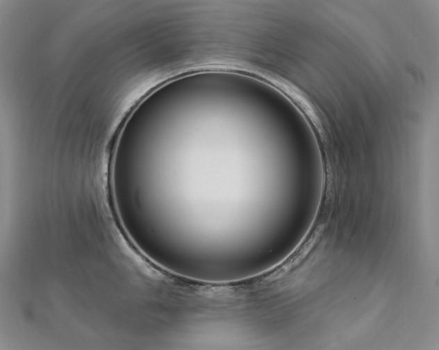 X0000112891006200908211449