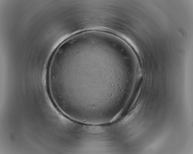 X0000112891007200908211449