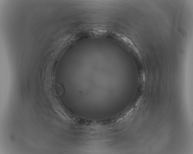 X0000112891009200908211449