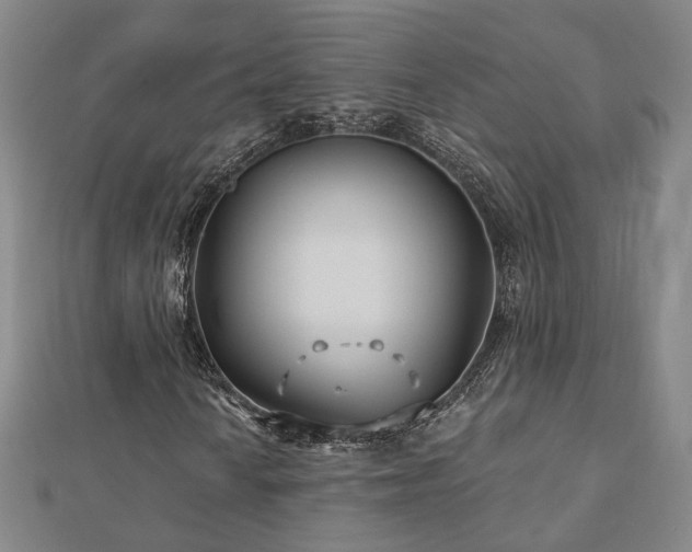 X0000112891010200908211449
