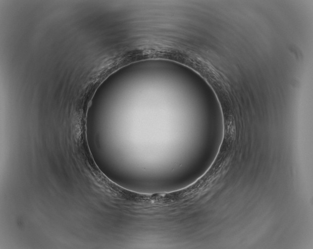 X0000112891012200908211449