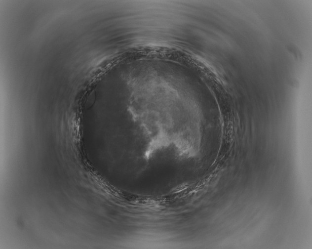 X0000112891013200908211449