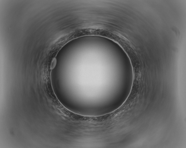 X0000112891014200908211449
