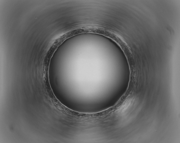 X0000112891016200908211449