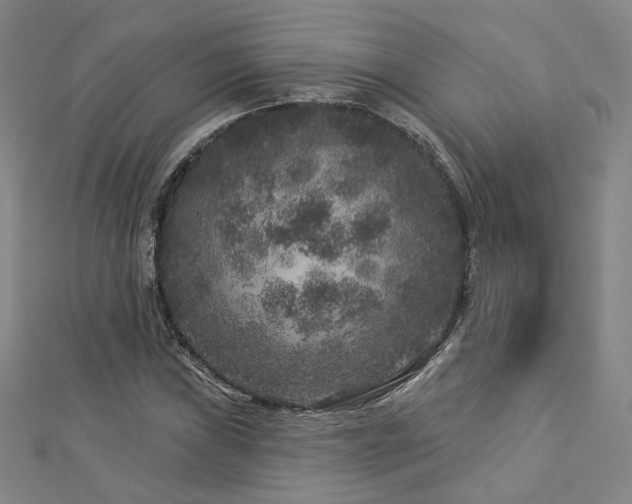 X0000112891019200908211449
