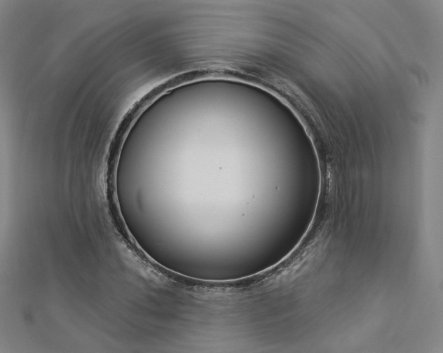 X0000112891020200908211449