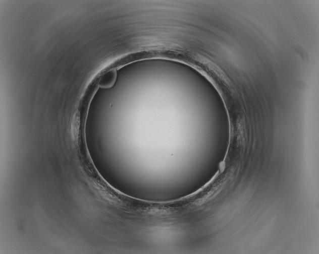 X0000112891021200908211449