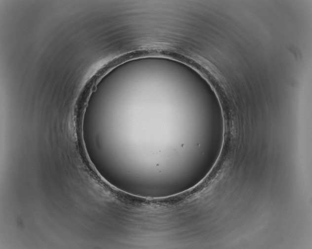 X0000112891022200908211449