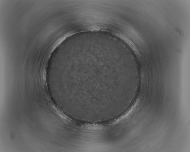 X0000112891023200908211449