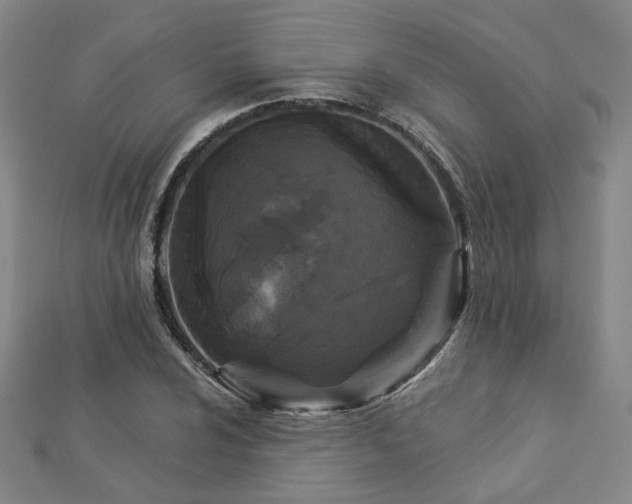 X0000112891024200908211449