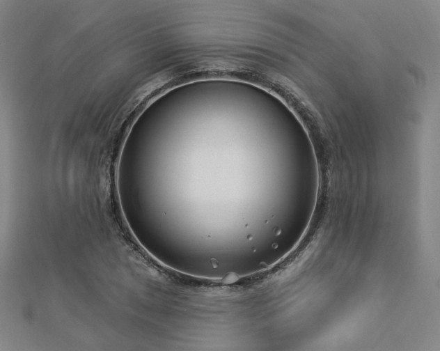 X0000112891025200908211449