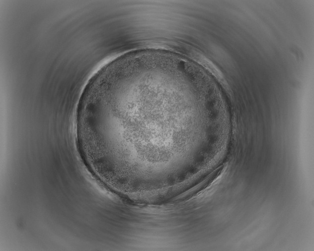X0000112891028200908211449