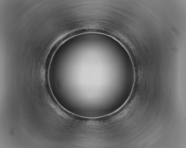 X0000112891029200908211449