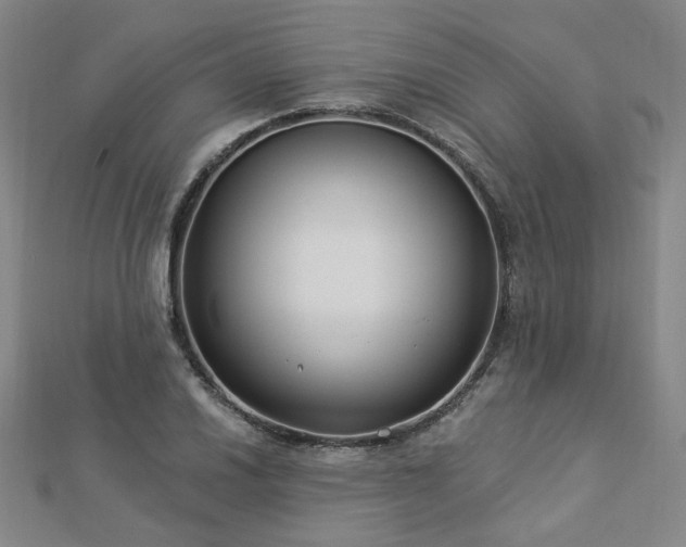 X0000112891030200908211449