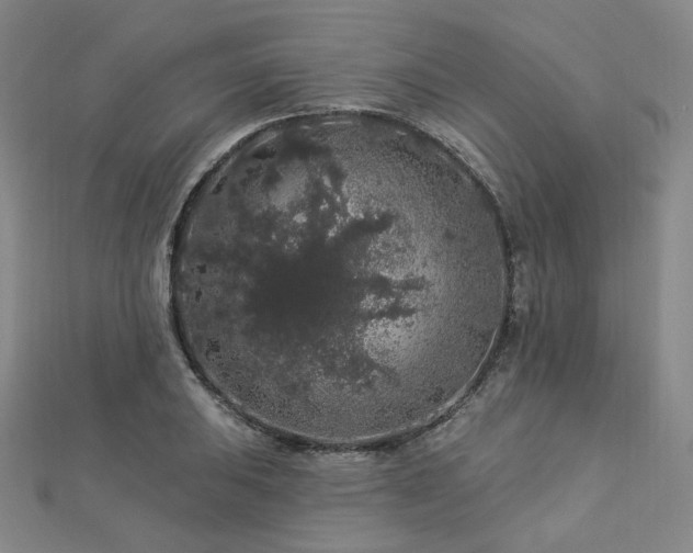 X0000112891031200908211449