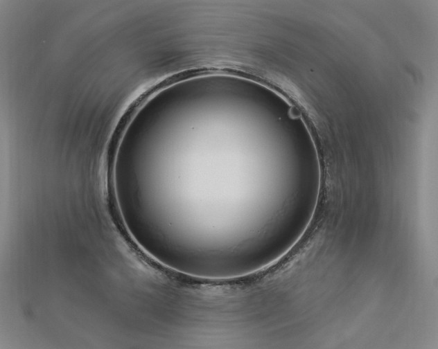 X0000112891032200908211449