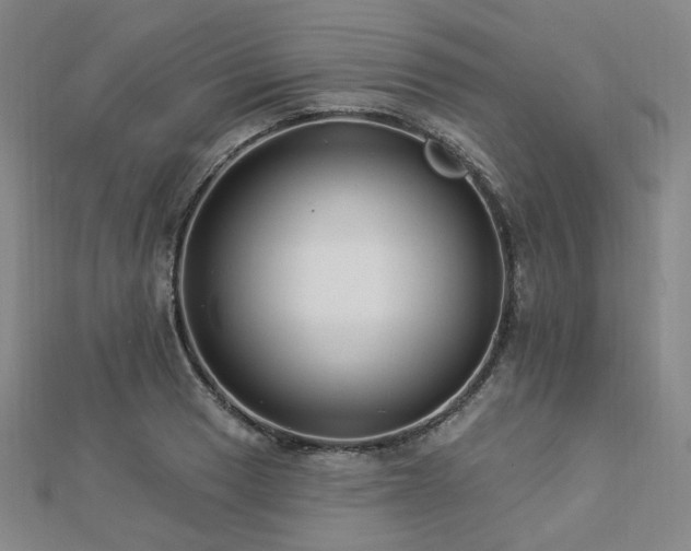 X0000112891033200908211449