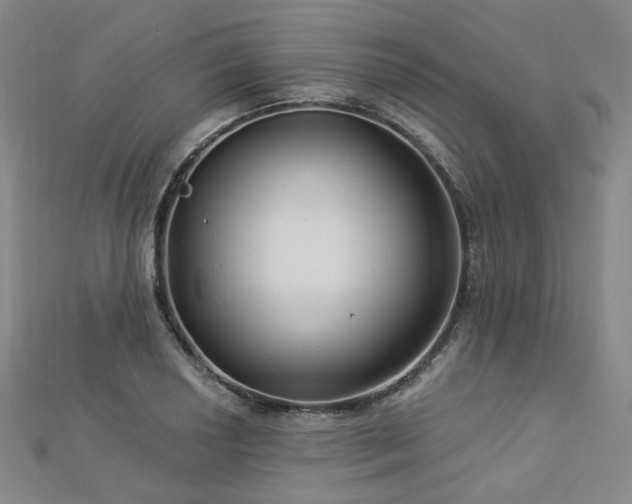 X0000112891034200908211449