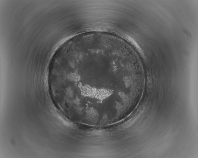 X0000112891035200908211449
