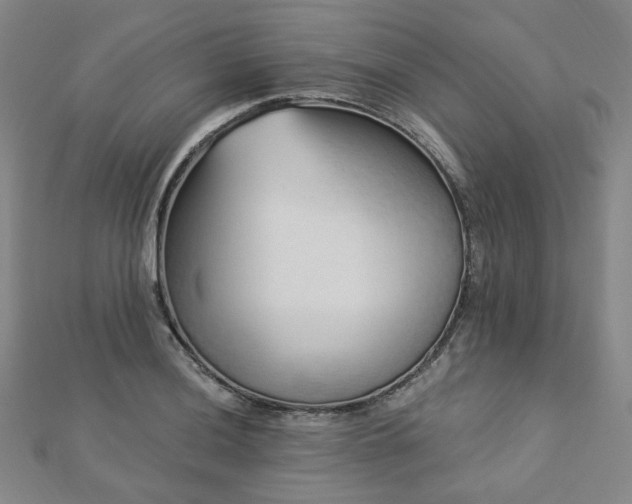 X0000112891036200908211449