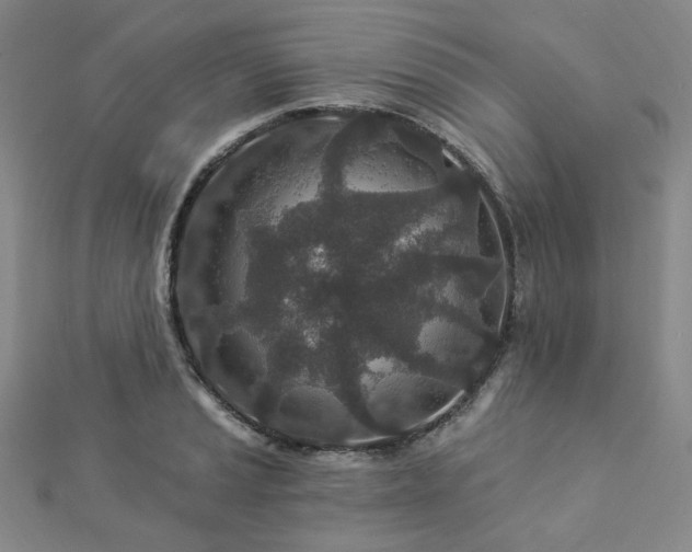 X0000112891037200908211449