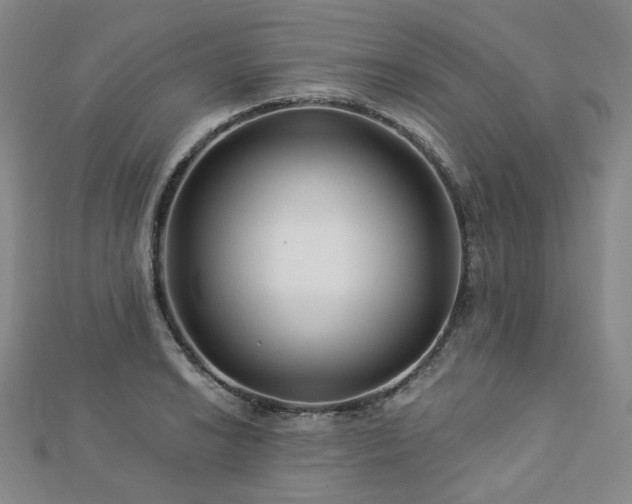 X0000112891038200908211449