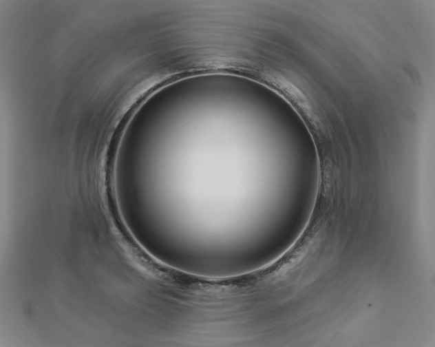 X0000112891039200908211449