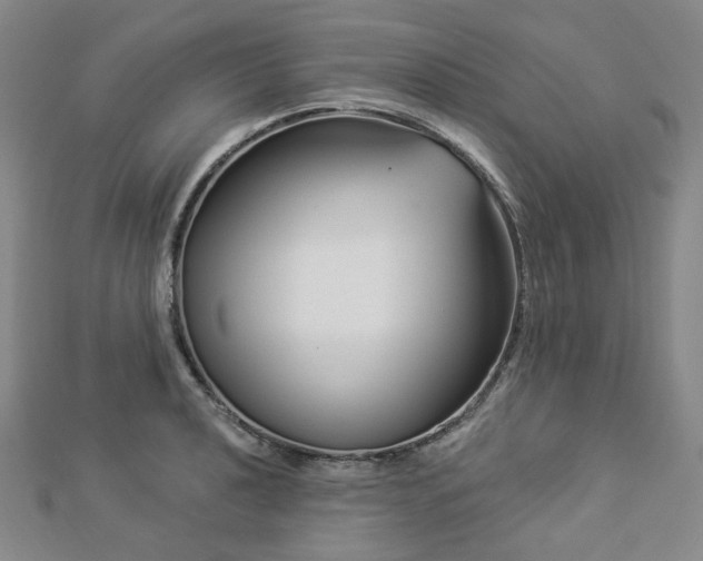 X0000112891040200908211449