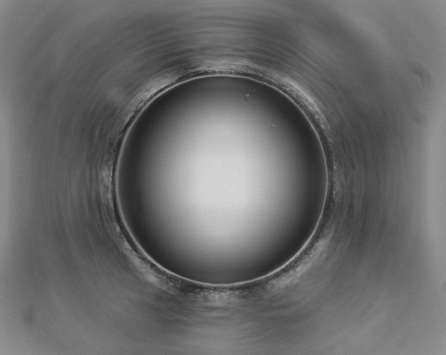 X0000112891041200908211449