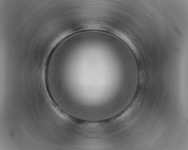 X0000112891043200908211449