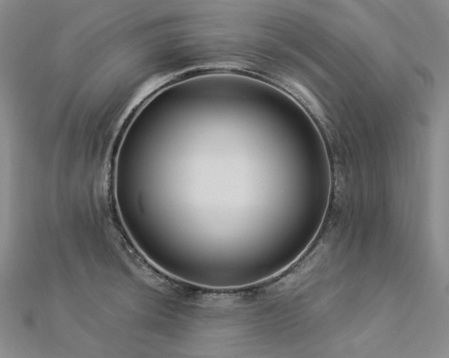 X0000112891044200908211449