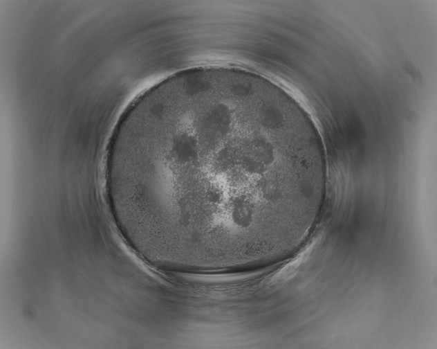 X0000112891045200908211449