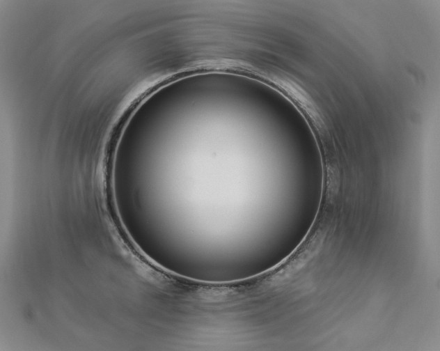 X0000112891046200908211449