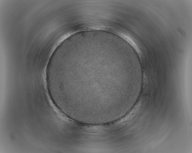 X0000112891047200908211449