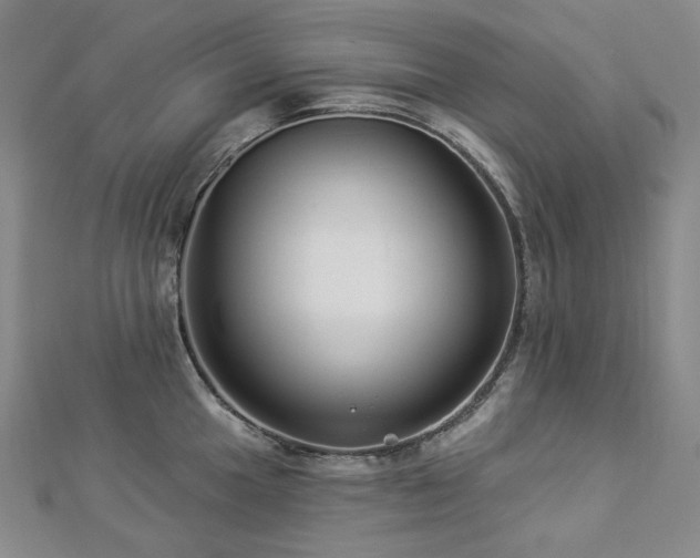 X0000112891049200908211449