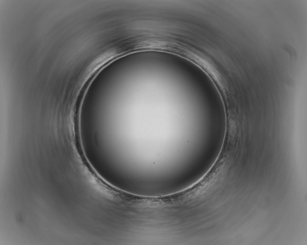 X0000112891050200908211449